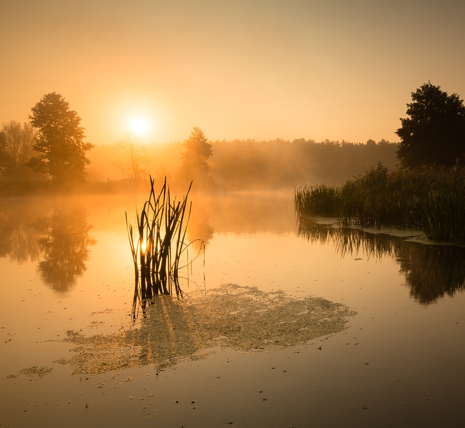 walz - ***. Zalecam PE+F11 :). Zdjęcie 264222