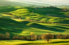 Dolina...