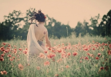 Poppy field II