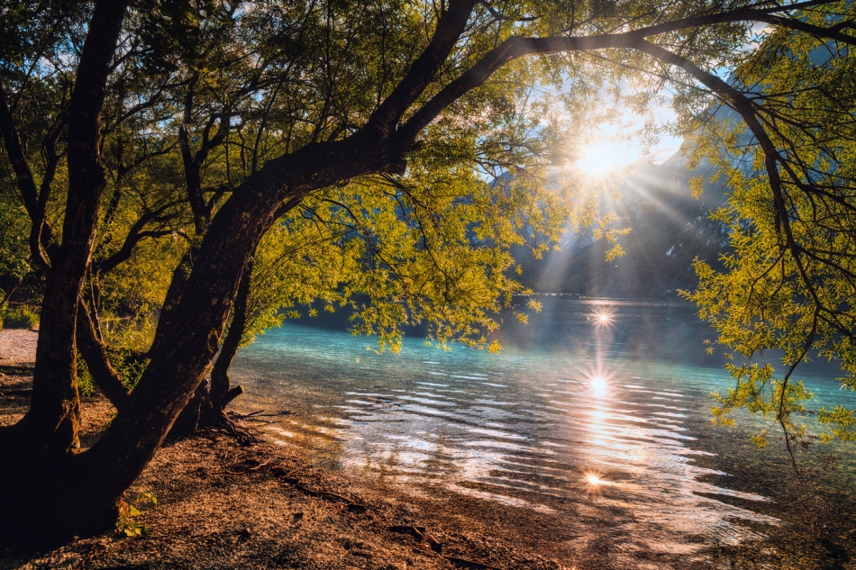 Jezioro Bohinjsko. . Zdjęcie 336447