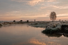 poranek nad Narwią