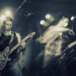 koncert