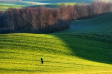 Fotograf