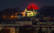 Różowy w moim mieście.