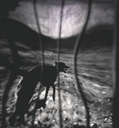 Haunted