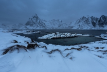 true face of lofoten