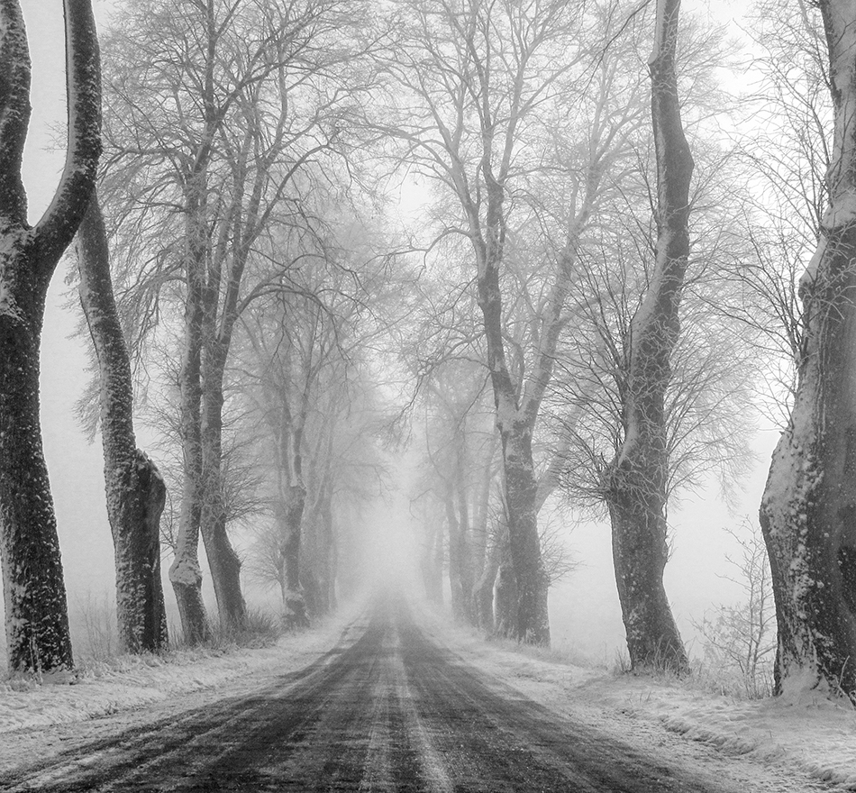 akrims - . . Zdjęcie 184229