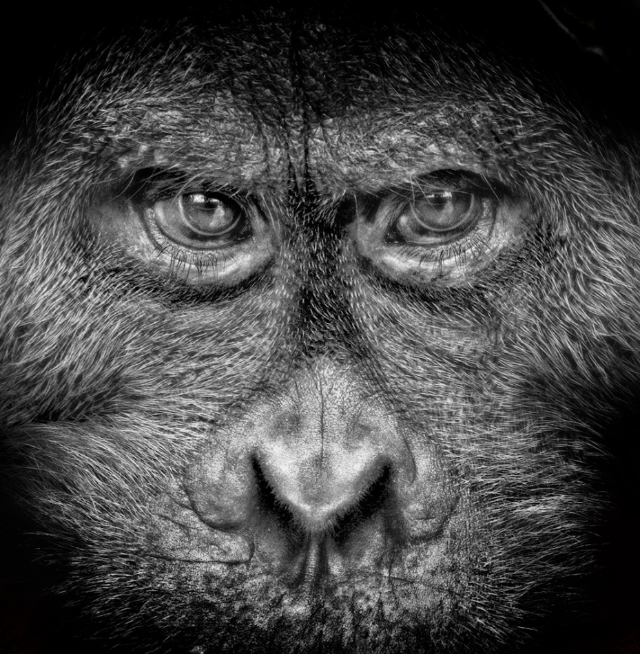 Looking in my eyes. PE. Zdjęcie 200258