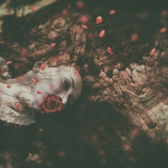 ...floral dream...