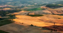Terapille