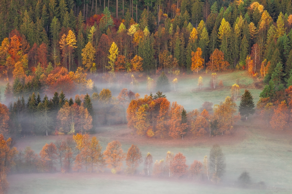 bonnieandclyde - The Land of Morning Mists.... . Zdjęcie 329023