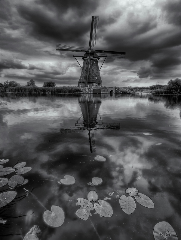 adampa - Kinderdijk II. z dedykacja dla calme... Zdjęcie 31228