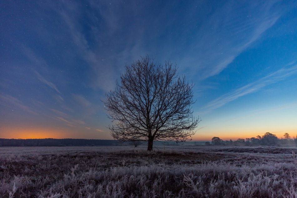 radson_foto - Świt. Łąki Henrykowskie. Tomaszów Maz. (woj. łódzkie). . Zdjęcie 309350