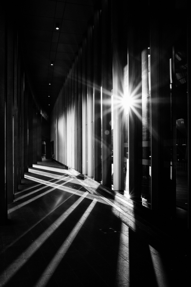 brownsville - . . Zdjęcie 262622