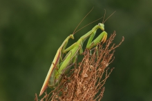 Chwila zapomnienia