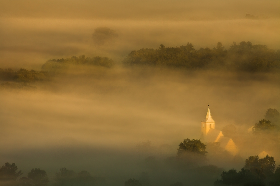 O poranku chłodnym.... . Zdjęcie 68248