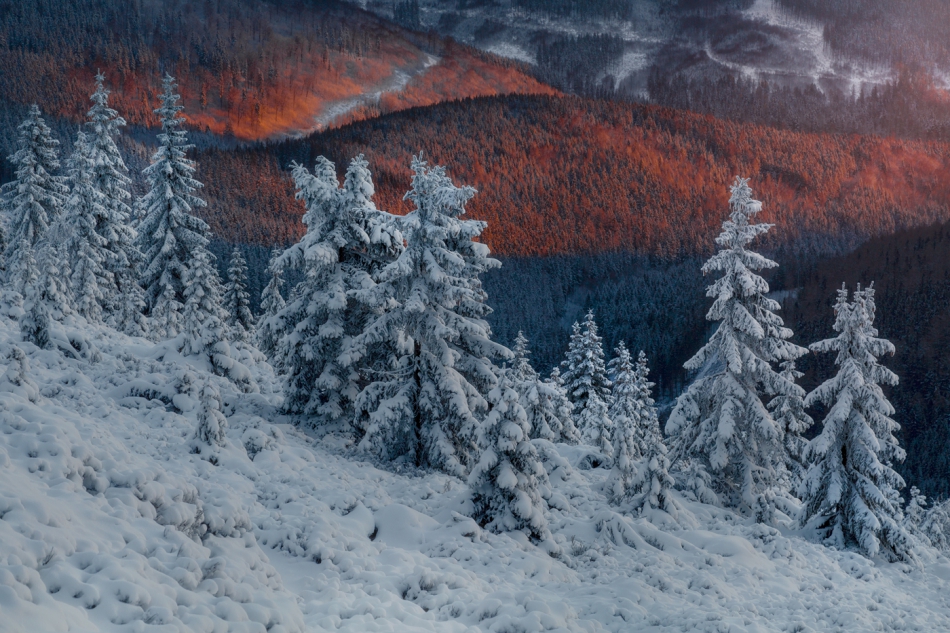 bonnieandclyde - Winter.... . Zdjęcie 310872