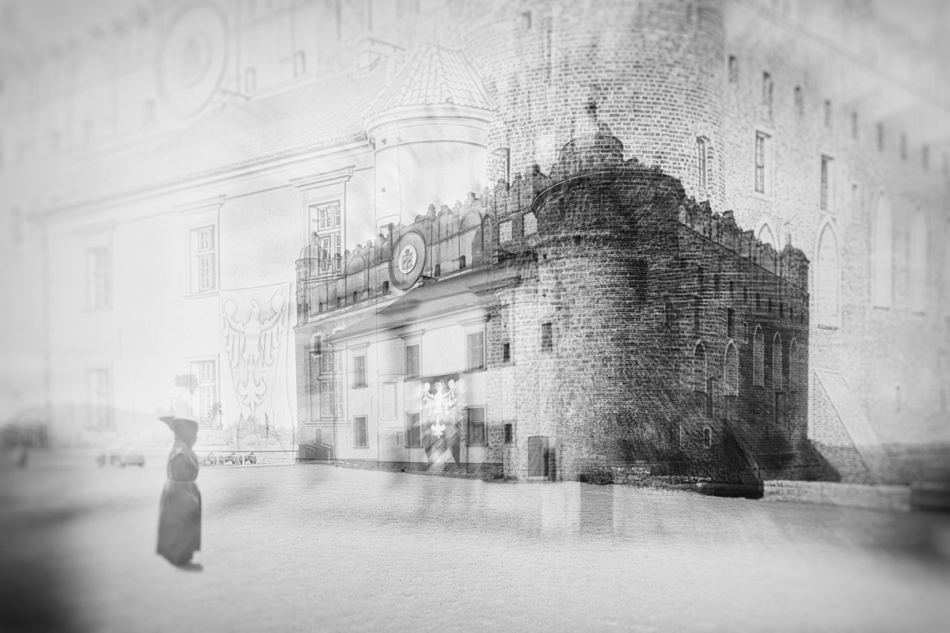 janish - . . Zdjęcie 328661