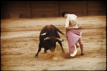 Corrida