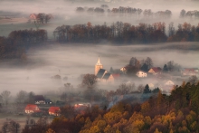 A Morning Dream...