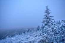 A Winter's Tale.....