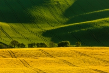 Moravienka