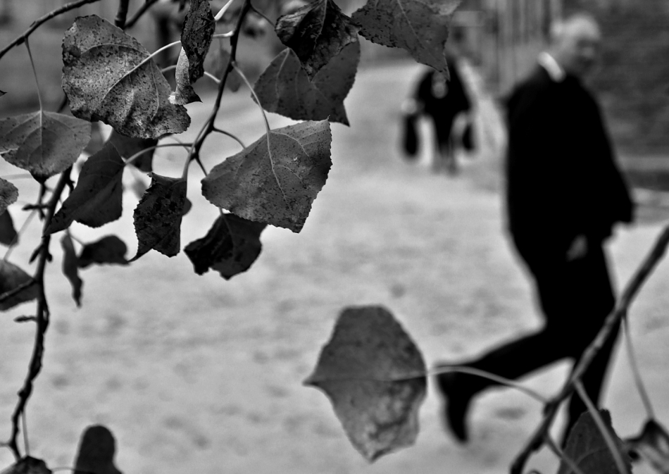 mariusz_je - . . Zdjęcie 318996