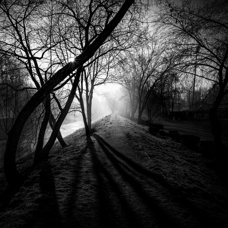 mrowkap - . . Zdjęcie 264552
