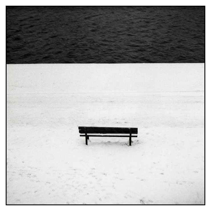 leo - czarno na białym . PSix Biometar 80 Fomapan 400 skan-lab. Zdjęcie 185490