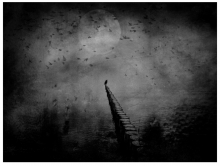 DARK SEA...