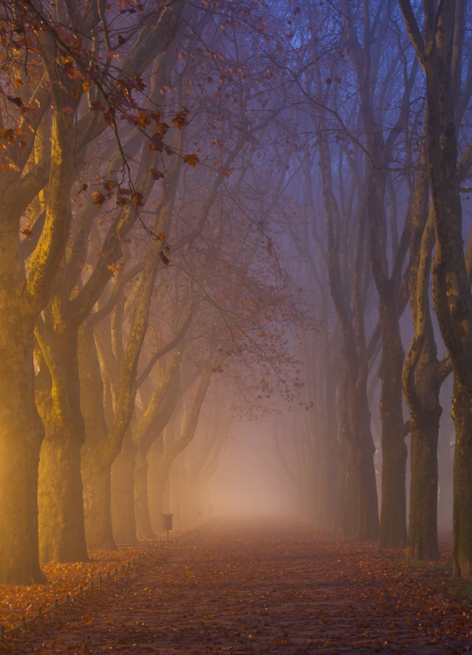 Szczecin. . Zdjęcie 336840