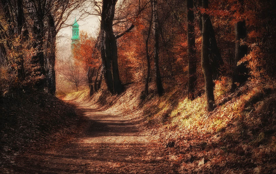 dariusz_langrzyk - aleja ku nadziei . . Zdjęcie 141752