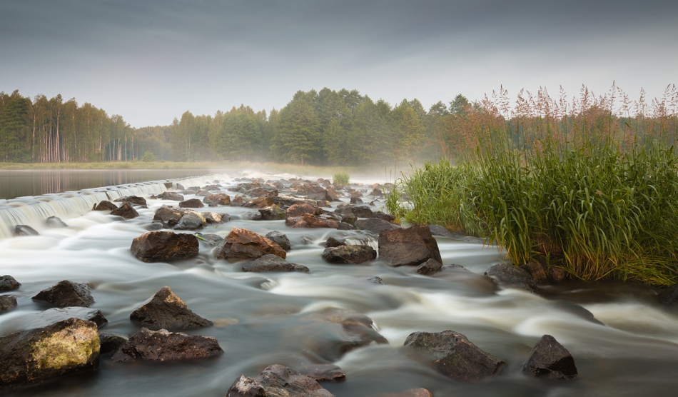 walz - ***. Zalecam PE+F11 :). Zdjęcie 243239