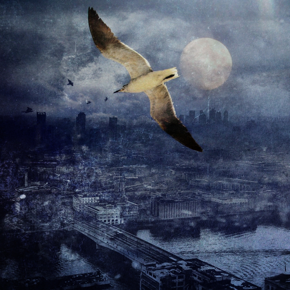 robin74r - The End of the Beginning. Wersja 2 ...nie moglem sie zdecydowac.... Zdjęcie 298163