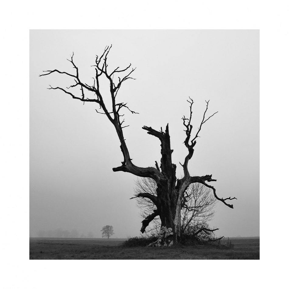 nowikowa - . . Zdjęcie 253357