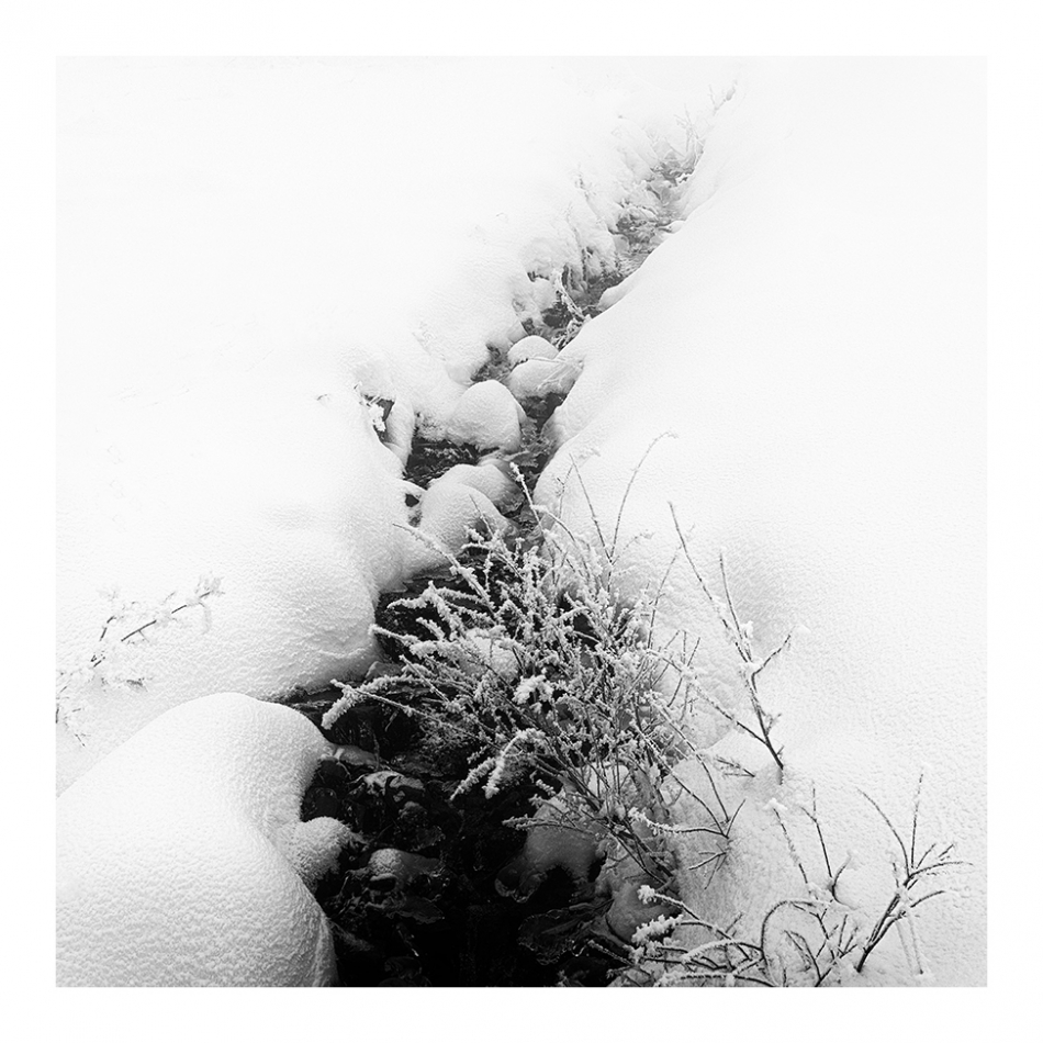 dajustg - .... . Zdjęcie 330398