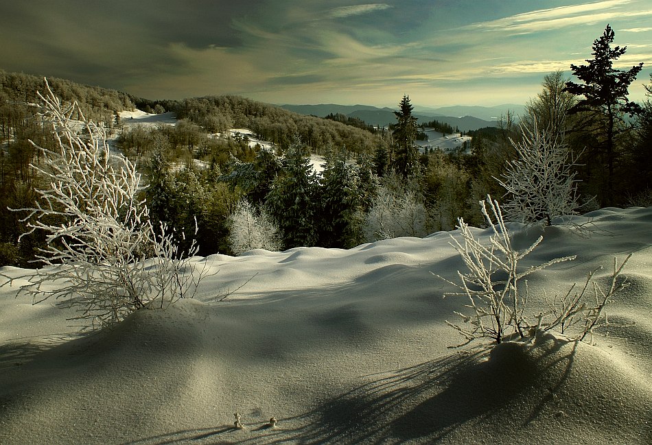 jawa07 - zimowy światlocień.... Beskid Sądecki...Zadnie Góry. Zdjęcie 10701