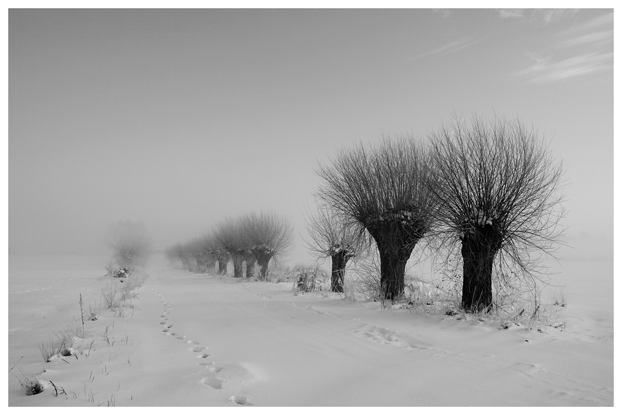 camelot - ***. . Zdjęcie 85964