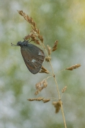 Between The Raindrops