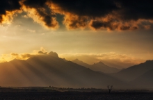 Light of Hope