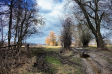 Wiosna na łąkach