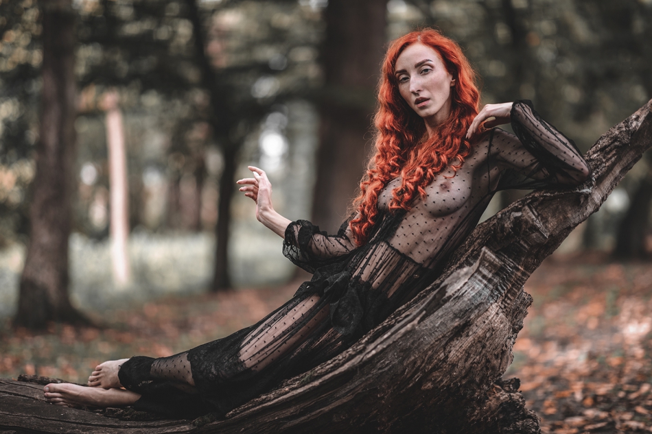 ernol - Lisia Dama.. Plener: Jesień w Rzepiszewie. . Zdjęcie 309819