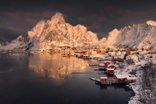 Reine