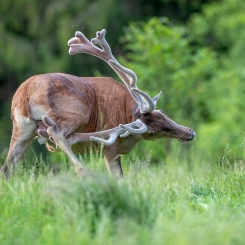 Co by nie mówić, jest p...