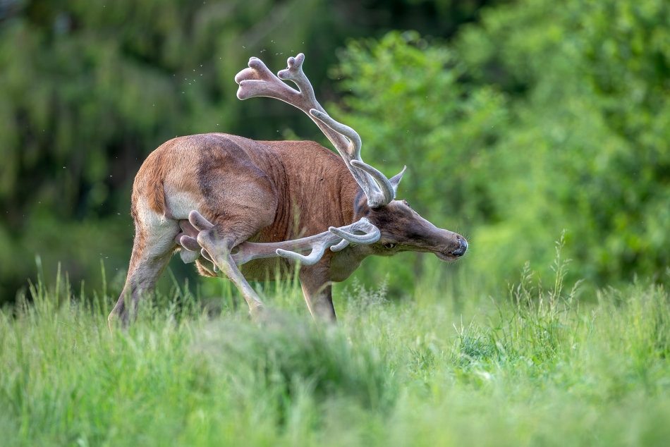 Co by nie mówić, jest problem.... . Zdjęcie 336896