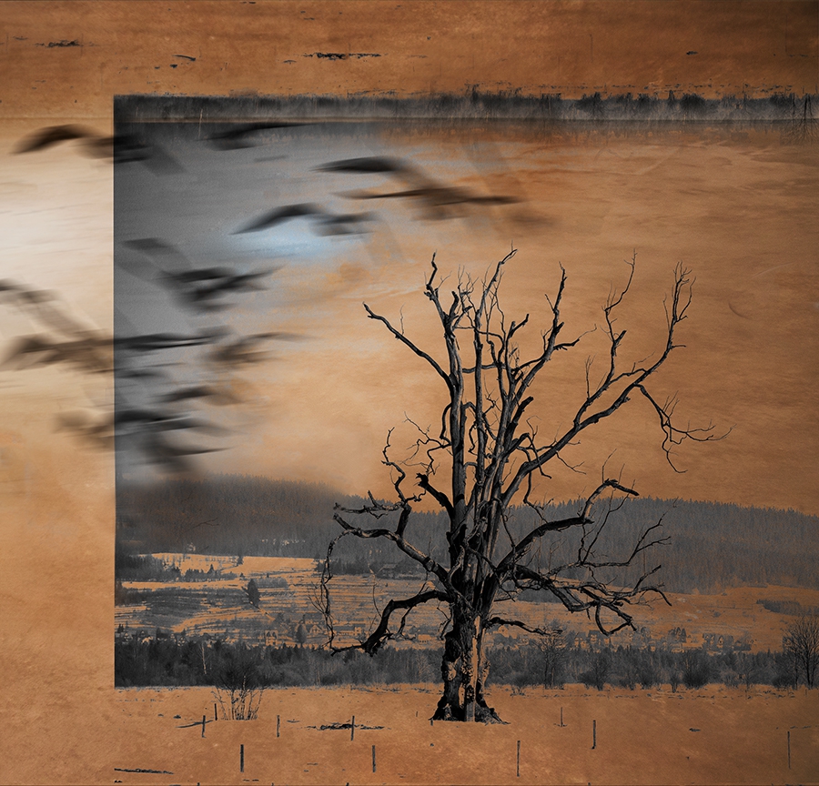 akrims - . . Zdjęcie 207299