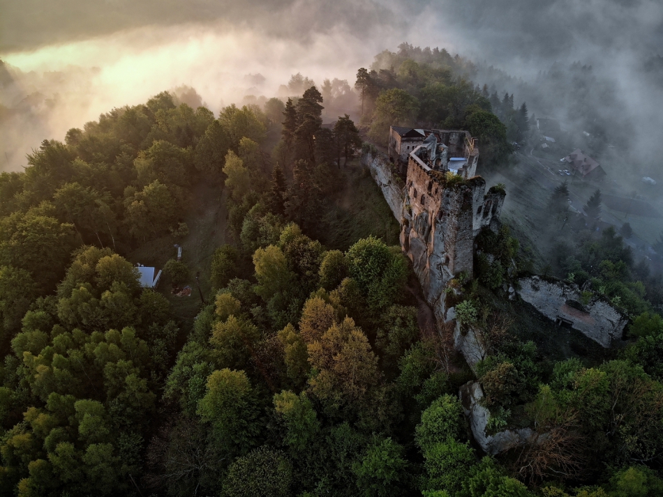 scots - Kamieniec. Podkarpackie. Zdjęcie 306259
