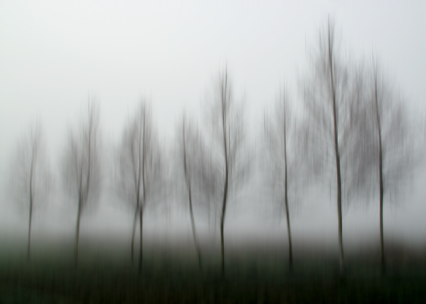 akrims - #020. . Zdjęcie 135199