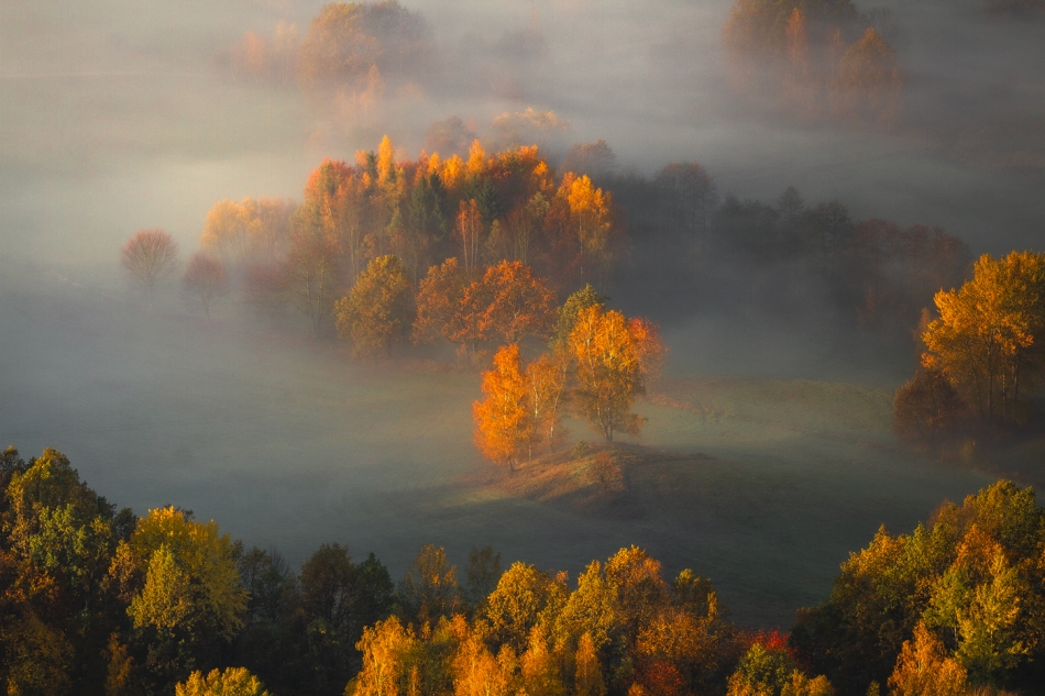 bonnieandclyde - Autumn Deluxe.... . Zdjęcie 328010