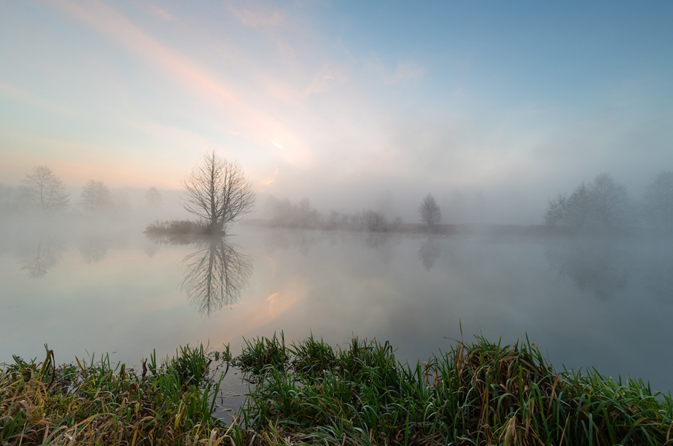 walz - ***. Zalecam PE+F11 :). Zdjęcie 320923